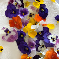 Custom cakes Oahu by an Italian Pastry Chef. This cake is made with vanilla sponge, italian pastry cream filling, elderflower chantilly frosting and decorated with edible pansies  and violas flowers.