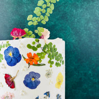 One tier white round cake. The cake is decorated with beautiful pressed flowers.